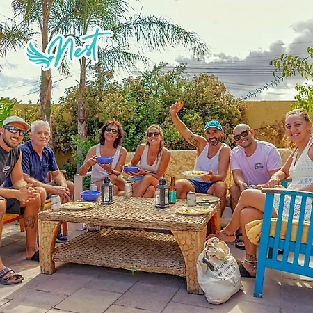 Amigos Nest