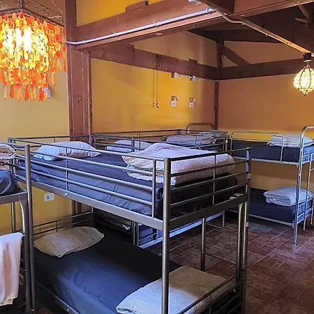 Amigos Nest