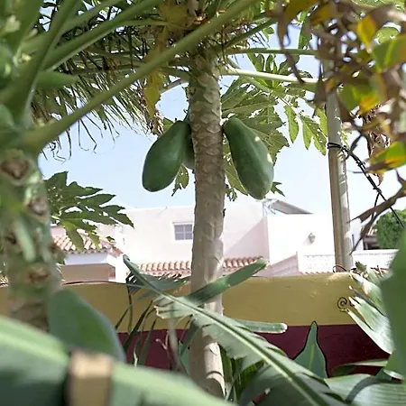 Amigos Nest גרנדילה דה אבונה