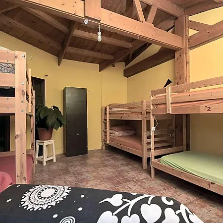 Amigos Nest *