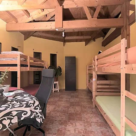 Amigos Nest