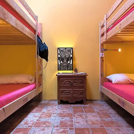 מלון Amigos Nest *